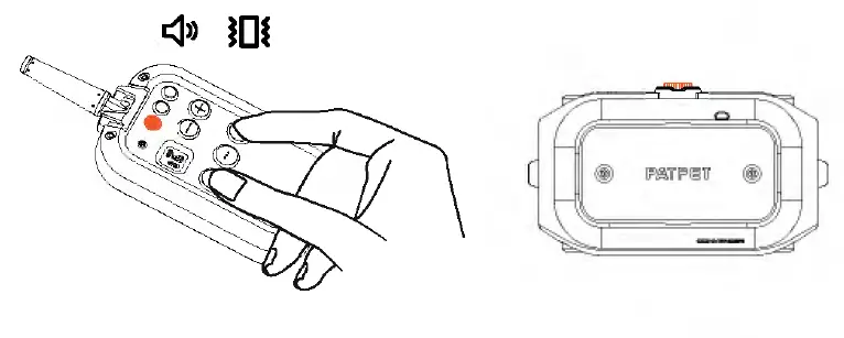 PATPET-P-COLLAR-920-Dog-Training-Collar-fig-16