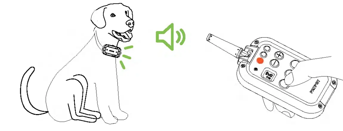 PATPET-P-COLLAR-920-Dog-Training-Collar-fig-8