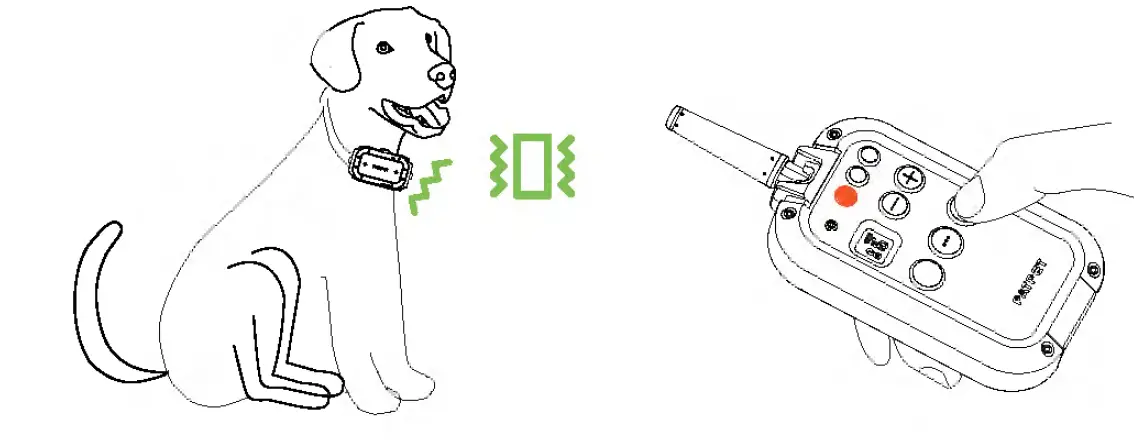 PATPET-P-COLLAR-920-Dog-Training-Collar-fig-10