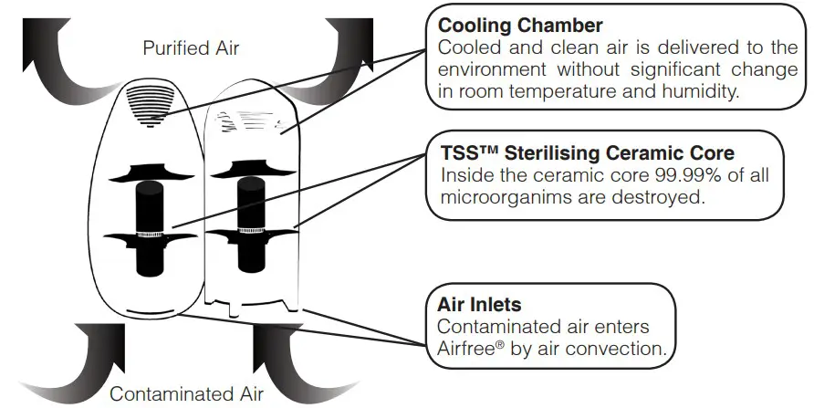 Airfree Silent Room Air Purifier Airfree® Work