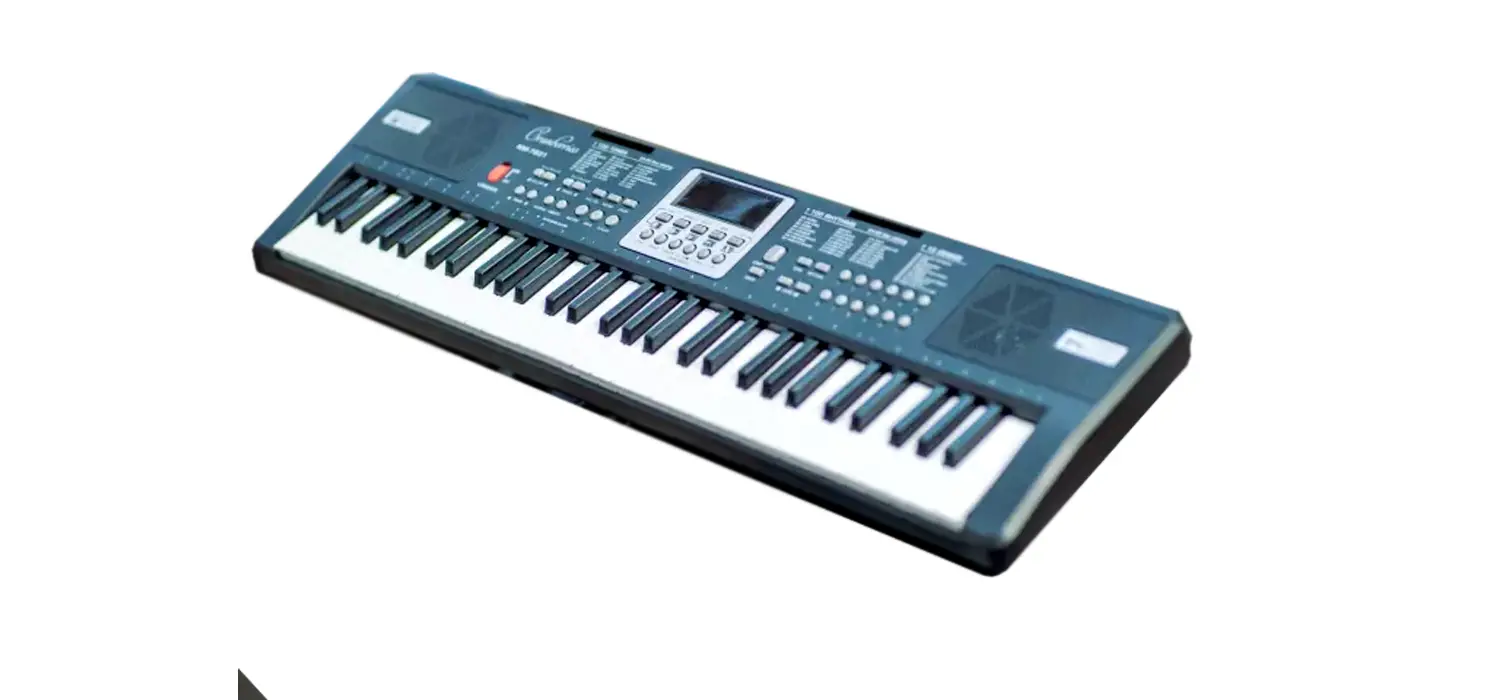 Electronic Organ Instruction Manual