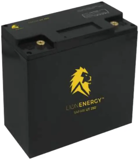 Lion Energy 250 Portable Power Unit