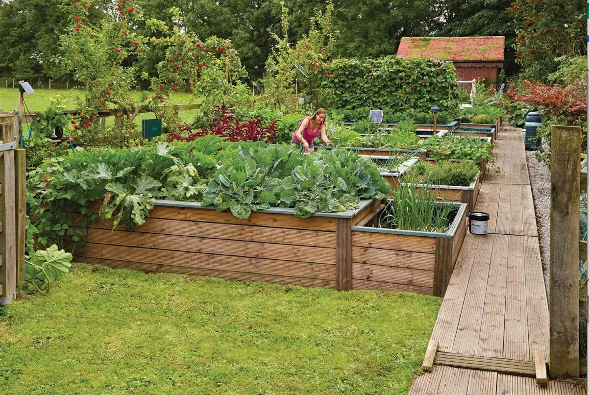 Irrigatia SOL C60 Tank Series Weather Solar Automatic Watering System