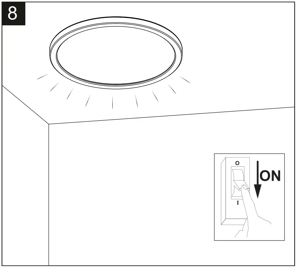 Assembly and Installation