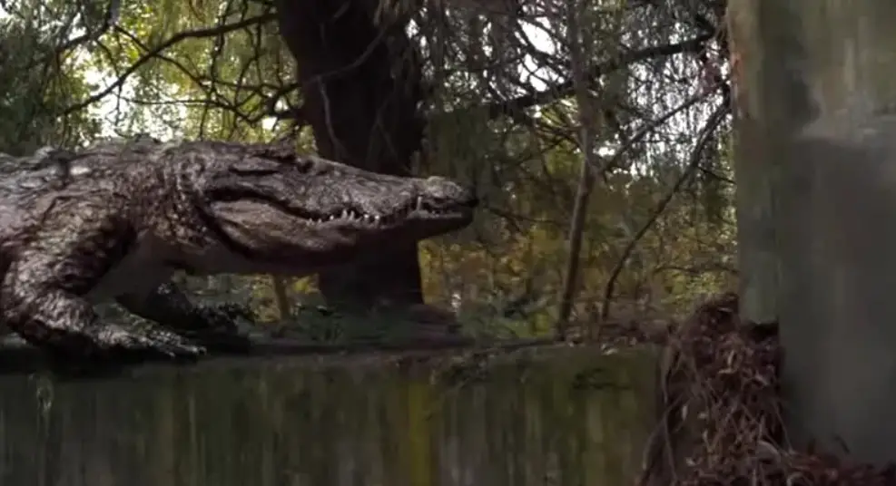 Robocroc 17019 Croc Boat Instruction Manual