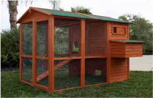 Assembly Instructions