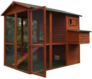 RUGGED RANCH 1081879 Pueblo Grand Walk-in Chicken Coop