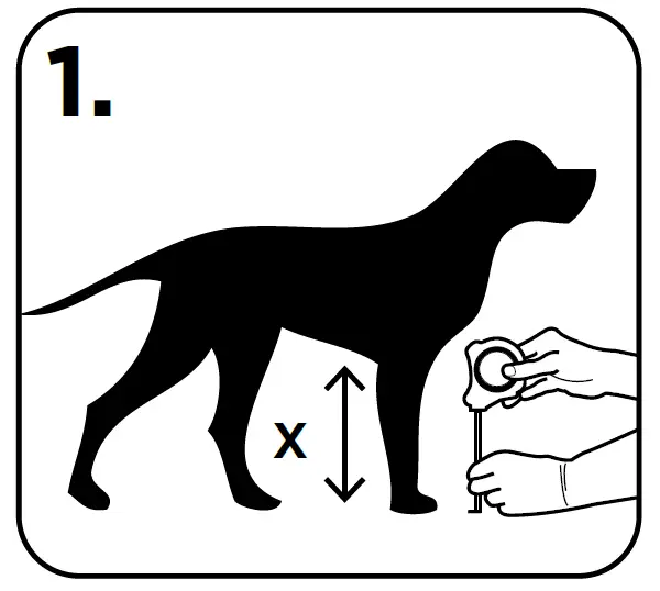 HAKUNA-PETS-1158-1159-Ultra-Clear-PET-Door-02