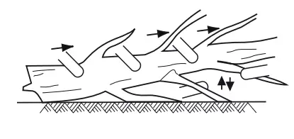 greenwork pro 2019902 18 Inch 80 Volt Lithium Ion Cordless Chainsaw-fig10