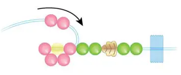 make-it-real-1724-Crystal-Dreams-Nature-s-Song-Jewelry-FIG-13