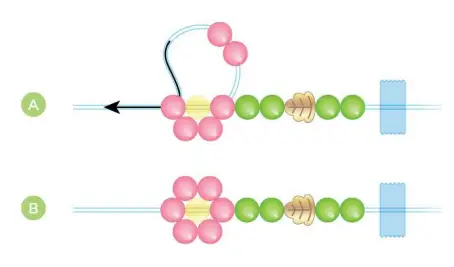 make-it-real-1724-Crystal-Dreams-Nature-s-Song-Jewelry-FIG-14