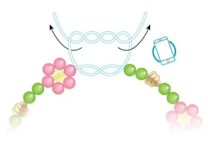 make-it-real-1724-Crystal-Dreams-Nature-s-Song-Jewelry-FIG-16