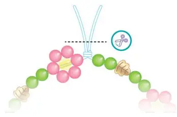 make-it-real-1724-Crystal-Dreams-Nature-s-Song-Jewelry-FIG-18