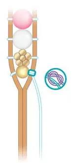 make-it-real-1724-Crystal-Dreams-Nature-s-Song-Jewelry-FIG-33