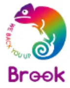 Brook Wingman PS2 Converter - icon