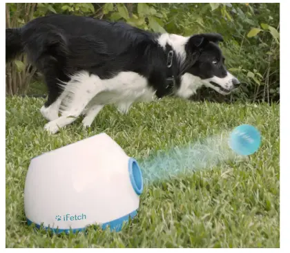 iFetch 6000200502935 Automatic Ball Launcher for Dogs 3