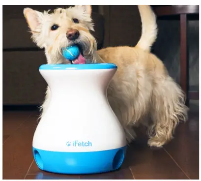 iFetch 6000200502935 Automatic Ball Launcher for Dogs 4