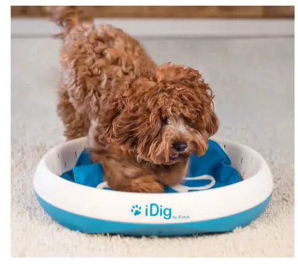 iFetch 6000200502935 Automatic Ball Launcher for Dogs 5