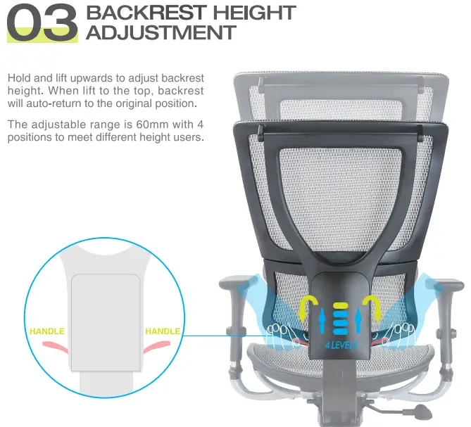 Backrest Height Adjustment