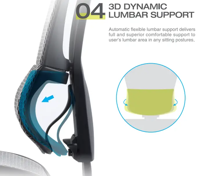 Dynamic Lumbar Support