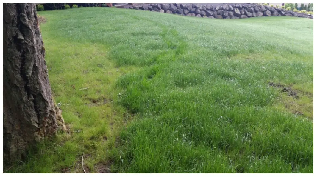 Oskar sewage treatment System Design Installation Guide