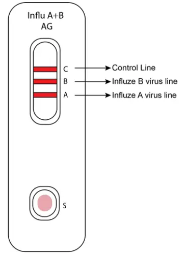 INFLUENZA-AU2032-A-B-Antigen-Rapid-Test-Kit-fig-1