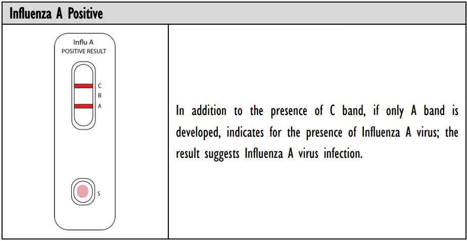 INFLUENZA-AU2032-A-B-Antigen-Rapid-Test-Kit-fig-17
