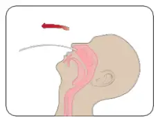 INFLUENZA-AU2032-A-B-Antigen-Rapid-Test-Kit-fig-3
