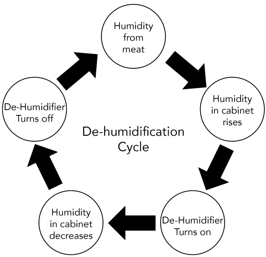 Assembly Instruction