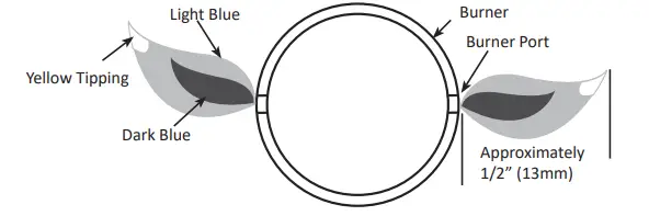 NAPOLEON-ROGUE-365-1-Gas-fig-10