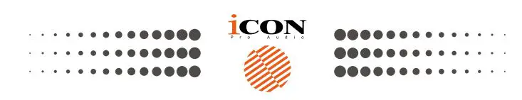 icon logo