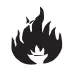 Fire icon