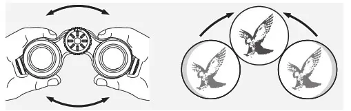 ADJUSTMENT OF INTERPUPILLARY DISTANCE