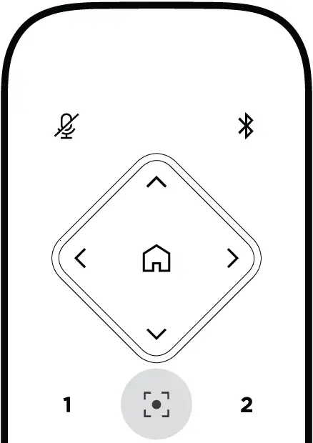 Enabling Disabling Autoframing