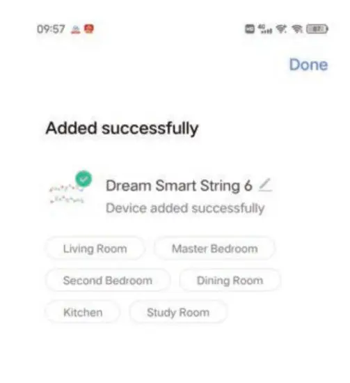 BLING LSC 030 W3 Smart LED String Lights - Tips