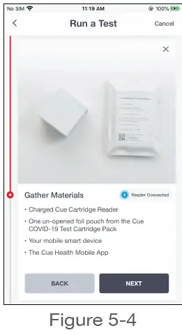 Cue IN9100208-1 COVID-19 Test-fig2