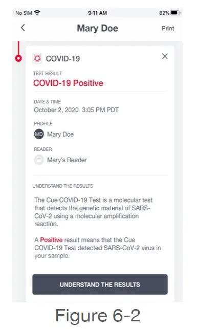 Cue IN9100208-1 COVID-19 Test-fig9