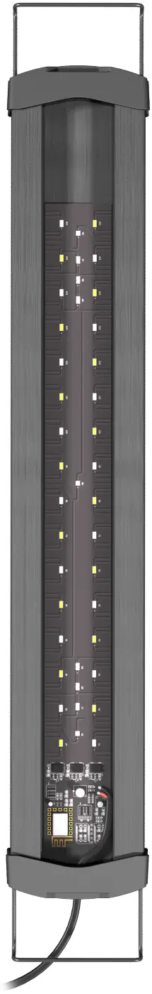 aquaticlife CREATING A NEW LIGHTING