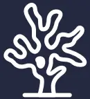 aquaticlife , Strong Light