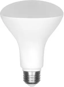 Euri LED Flood Bulb