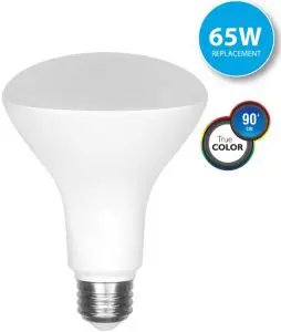 Euri LED Flood Bulb