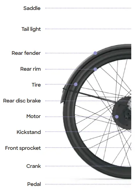 BirdBike-C1-C2-A-Frame-Bicycle-FIG-2