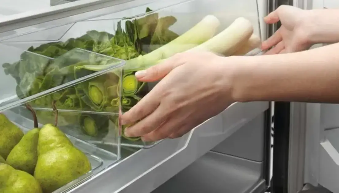 Fisher Paykel Rf170blpw6 N Freestanding Refrigerator Freezer User Guide