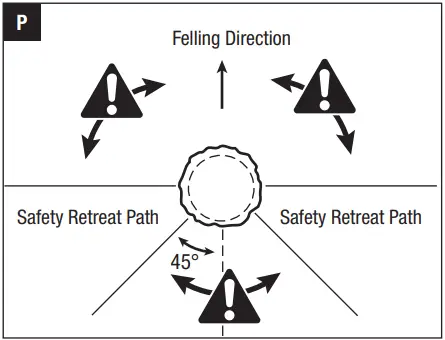 EGO CS1610E 56 Volt Lithium-Ion Cordless Chain Saw P