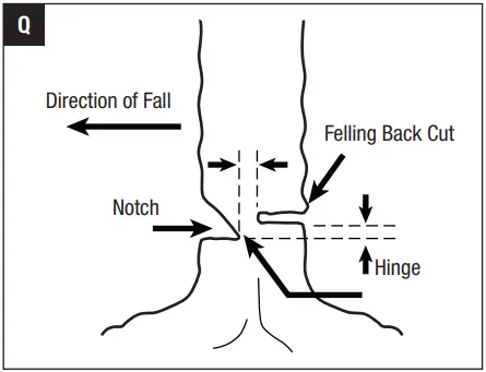 EGO CS1610E 56 Volt Lithium-Ion Cordless Chain Saw Q