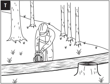 EGO CS1610E 56 Volt Lithium-Ion Cordless Chain Saw T