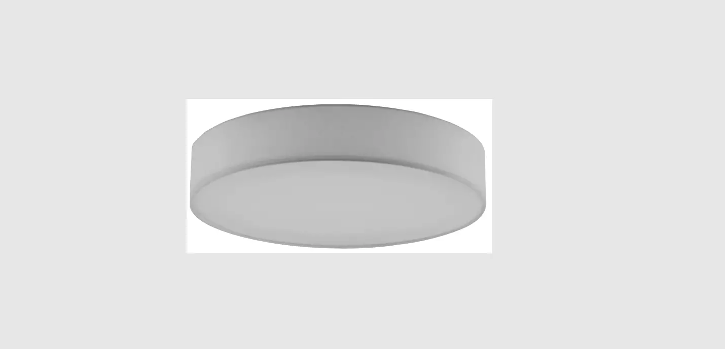 Paul Neuhaus 832172 Q-kiara Ceiling Light Instruction Manual