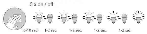 Paul-Neuhaus-832172-Q-Kiara-Ceiling-Light-FIG-8