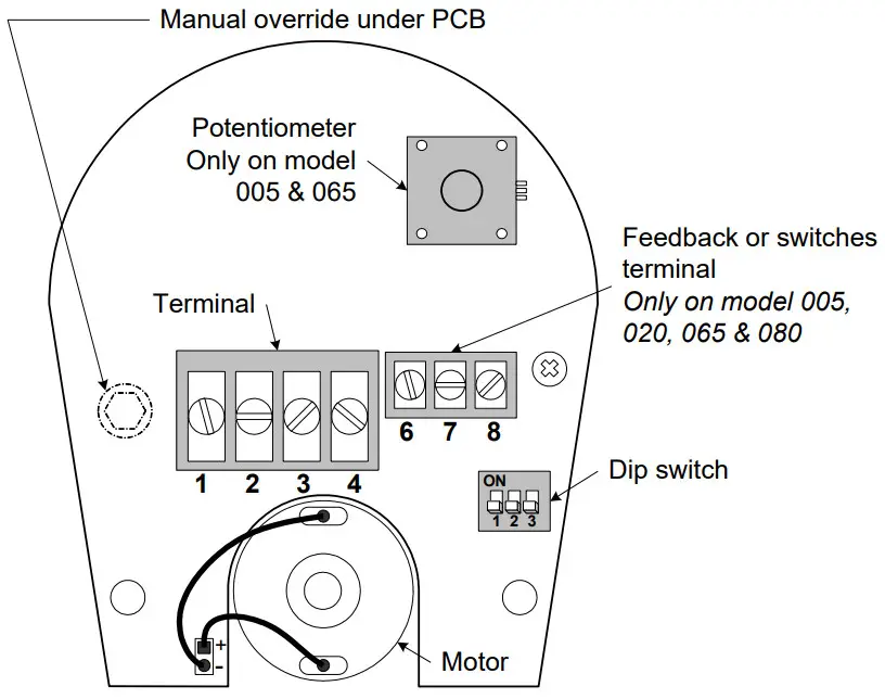 neptronic AT000 2 Way 1 2 Inch Globe Valve - Figure 8