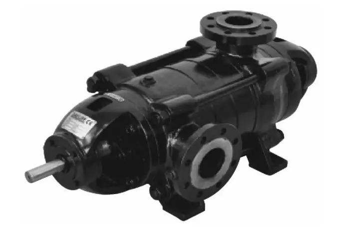 DAYLIFE DMS Horizontal Multistage Centrifugal Pumps
